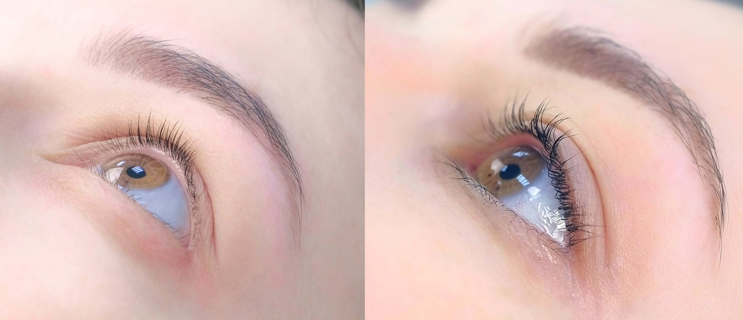 Lash Lift inkl. Färben